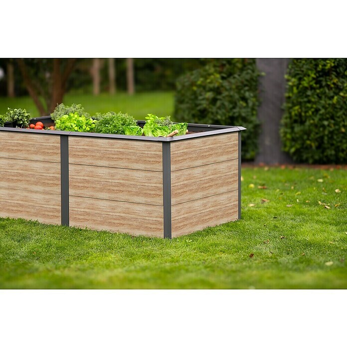 Westmann Hochbeet Primus XL (100 x 200 x 77 cm, Metall, Anthrazit/Braun) | BAUHAUS