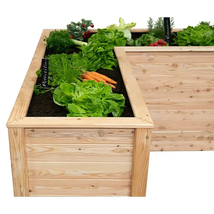 Westmann Hochbeet Klassik L - 170,5 x 170,5 x 84 cm, Holz, Natur - Hochbeet aus Holz mit verschiedenen Gemüsesorten wie Salat, Karotten und Kräutern für den Garten oder die Terrasse.