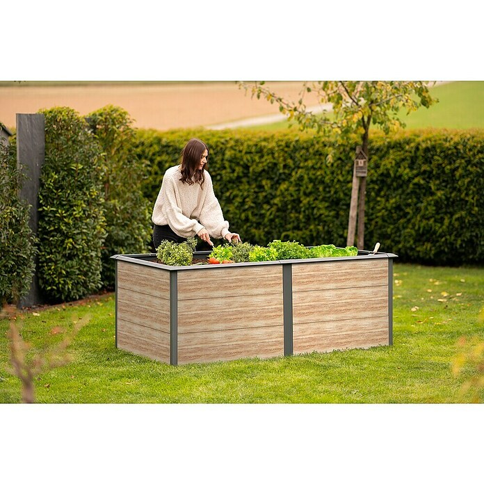 Westmann Hochbeet Primus XL (100 x 200 x 77 cm, Metall, Anthrazit/Braun) | BAUHAUS