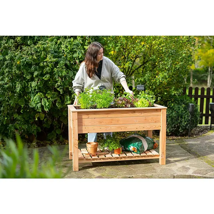 Westmann Hochbeet Emily - 65 x 120 x 72 cm, Holz, Natur, Ausstattung Hochbeet: Ablagefläche - Hochbeet aus Holz mit Frau beim Gärtnern. Das Beet ist bepflanzt mit verschiedenen Kräutern und Salaten.
