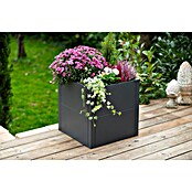 Westmann Pflanzkasten Tallus S (Metall, Anthrazit, L x B x H: 50 x 50 x 50 cm) | BAUHAUS