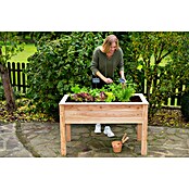 Westmann Hochbeet Emily (65 x 120 x 72 cm, Holz, Natur) | BAUHAUS