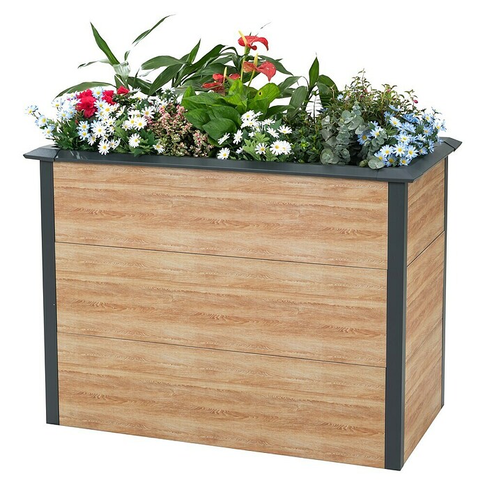 Westmann Hochbeet Primus M (50 x 100 x 77 cm, Metall, Anthrazit/Braun) | BAUHAUS