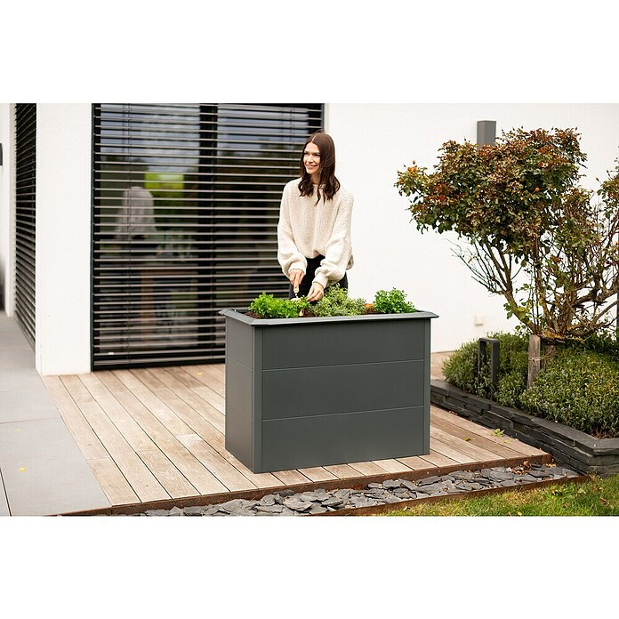 Westmann Hochbeet Primus M (50 x 100 x 77 cm, Metall, Anthrazit) | BAUHAUS