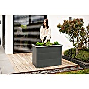 Westmann Hochbeet Primus M (50 x 100 x 77 cm, Metall, Anthrazit) | BAUHAUS