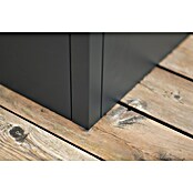 Westmann Pflanzkasten Tallus S (Metall, Anthrazit, L x B x H: 50 x 50 x 50 cm) | BAUHAUS