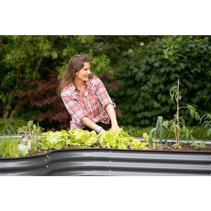 Westmann Hochbeet Grow faster (240 x 160 x 82 cm, Metall, Anthrazit) | BAUHAUS