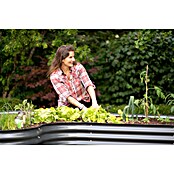 Westmann Hochbeet Grow faster (240 x 160 x 82 cm, Metall, Anthrazit) | BAUHAUS