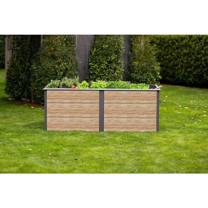 Westmann Hochbeet Primus XL (100 x 200 x 77 cm, Metall, Anthrazit/Braun) | BAUHAUS