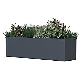 Westmann Pflanzkasten Talus M (L x B x H: 25 x 100 x 27 cm, Metall, Anthrazit)