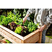 Westmann Hochbeet Emily (65 x 120 x 72 cm, Holz, Natur, Ausstattung Hochbeet: Ablagefläche) | BAUHAUS