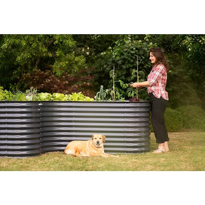 Westmann Hochbeet Grow faster - 240 x 160 x 82 cm, Metall, Anthrazit - Eine Frau pflegt Pflanzen in einem erhöhten, schwarzen Gartenbeet, während ein Hund daneben liegt. Das Beet bietet viel Platz für Gemüse und Kräuter.