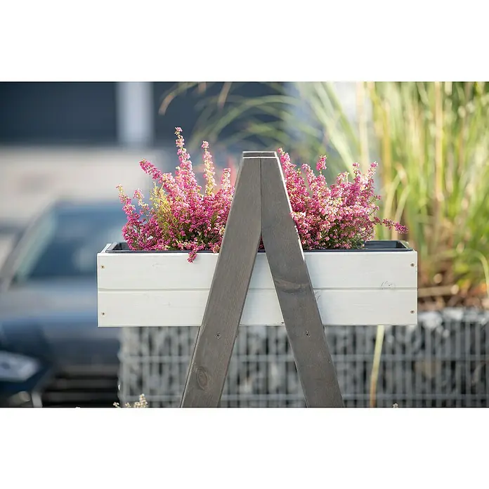 Westmann Hochbeet Ella - L x B x H: 101 x 25 x 147 cm, Holz, Grau/Weiß - Die Aufnahme zeigt einen weißen Blumenkasten, der mit Heidekraut bepflanzt und auf einem grauen Holzgestell platziert wurde. Dekorative Gartengestaltung.