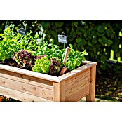 Westmann Hochbeet Emily (65 x 120 x 72 cm, Holz, Natur, Ausstattung Hochbeet: Ablagefläche) | BAUHAUS