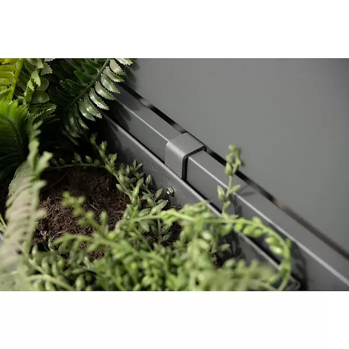 Westmann Pflanzkasten Planum für Mülltonnenbox - Außenmaß (L x B x H): 12 x 50 x 15,5 cm, Metall, Anthrazit - Graues modulares Pflanzsystem mit grünen Farnen und Sukkulenten gefüllt.