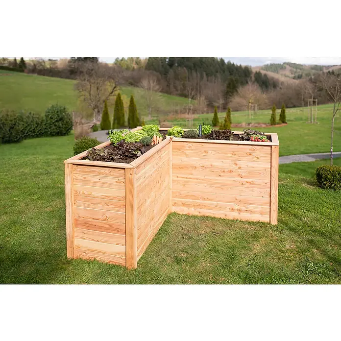 Westmann Hochbeet Klassik L - 170,5 x 170,5 x 84 cm, Holz, Natur - Erhöhtes Holzgartenbeet mit üppigem Salat und Gemüse, eine stilvolle und praktische Lösung für Ihren Garten.
