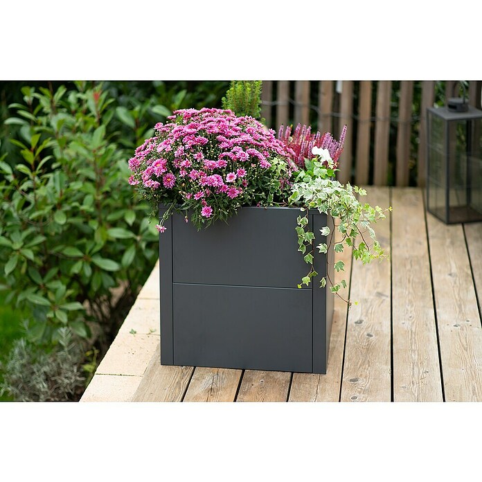 Westmann Pflanzkasten Tallus S (Metall, Anthrazit, L x B x H: 50 x 50 x 50 cm) | BAUHAUS