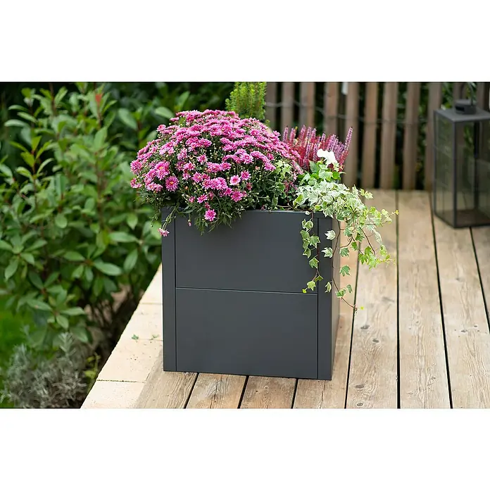Westmann Pflanzkasten Talus S - Metall, Anthrazit, L x B x H: 50 x 50 x 50 cm - Ein quadratischer, anthrazitfarbener Pflanzkasten mit üppigen rosa Blüten und Efeu auf einer Holzterrasse. Er bietet eine stilvolle Präsentation.