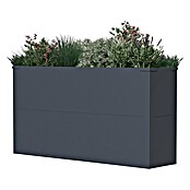 Westmann Pflanzkasten Tallus L (Metall, Anthrazit) | BAUHAUS