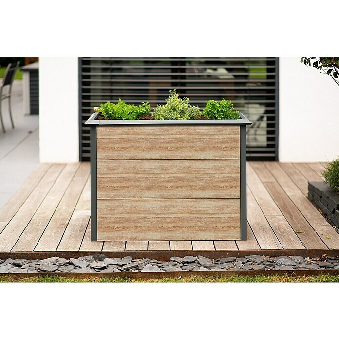 Westmann Hochbeet Primus M (50 x 100 x 77 cm, Metall, Anthrazit/Braun) | BAUHAUS