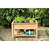 Westmann Hochbeet Emily (65 x 120 x 72 cm, Holz, Natur, Ausstattung Hochbeet: Ablagefläche) | BAUHAUS