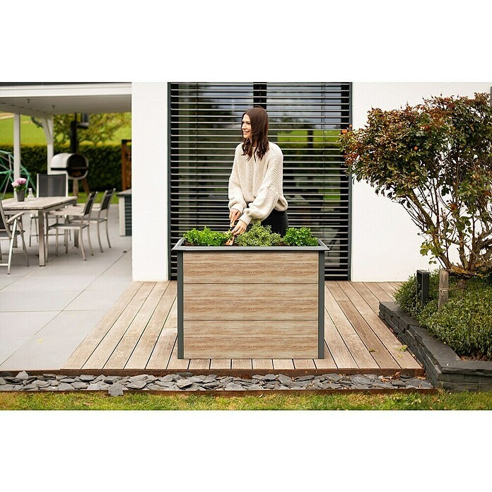 Westmann Hochbeet Primus M (50 x 100 x 77 cm, Metall, Anthrazit/Braun) | BAUHAUS