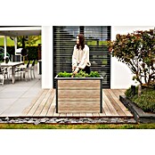 Westmann Hochbeet Primus M (50 x 100 x 77 cm, Metall, Anthrazit/Braun) | BAUHAUS