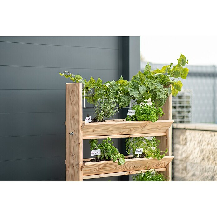 Westmann Kräuterhochbeet Viktoria L mit Rankgitter (L x B x H: 50 x 80 x 95 cm) | BAUHAUS