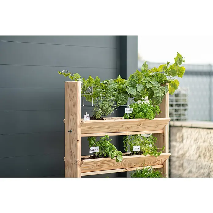 Westmann Kräuterhochbeet Viktoria L mit Rankgitter - L x B x H: 50 x 80 x 95 cm - Kräutergarten aus Holz mit verschiedenen Kräutern wie Basilikum, Petersilie und Schnittlauch, ideal für Balkon oder Terrasse.
