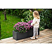 Westmann Pflanzkasten Tallus M (Metall, Anthrazit, L x B x H: 25 x 100 x 27 cm) | BAUHAUS