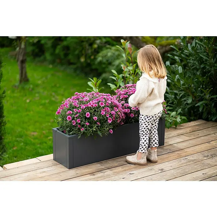 Westmann Pflanzkasten Talus M - L x B x H: 25 x 100 x 27 cm, Metall, Anthrazit - Ein kleines Mädchen bewundert die leuchtend pinkfarbenen Chrysanthemen in einem eleganten, anthrazitfarbenen Pflanzgefäß auf einer Holzterrasse.