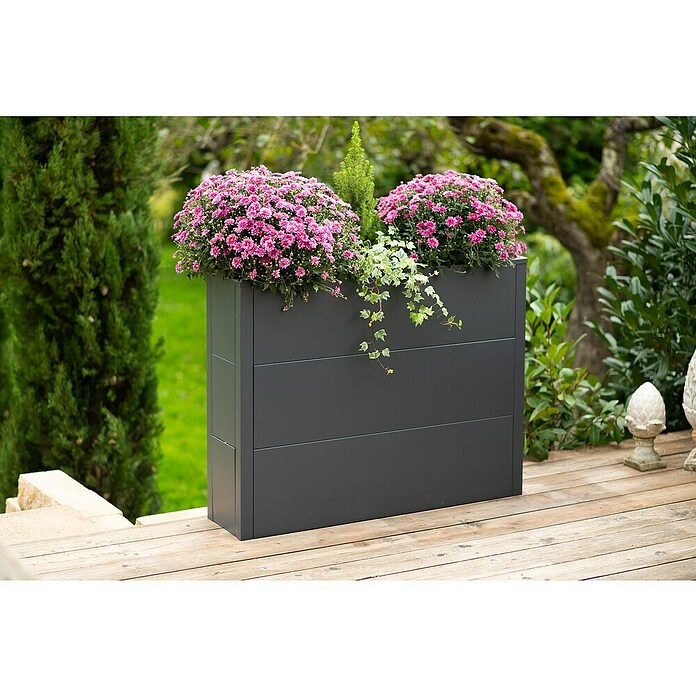 Westmann Pflanzkasten Tallus XL (Metall, Anthrazit, L x B x H: 25 x 100 x 77 cm) | BAUHAUS