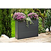 Westmann Pflanzkasten Tallus XL (Metall, Anthrazit, L x B x H: 25 x 100 x 77 cm) | BAUHAUS
