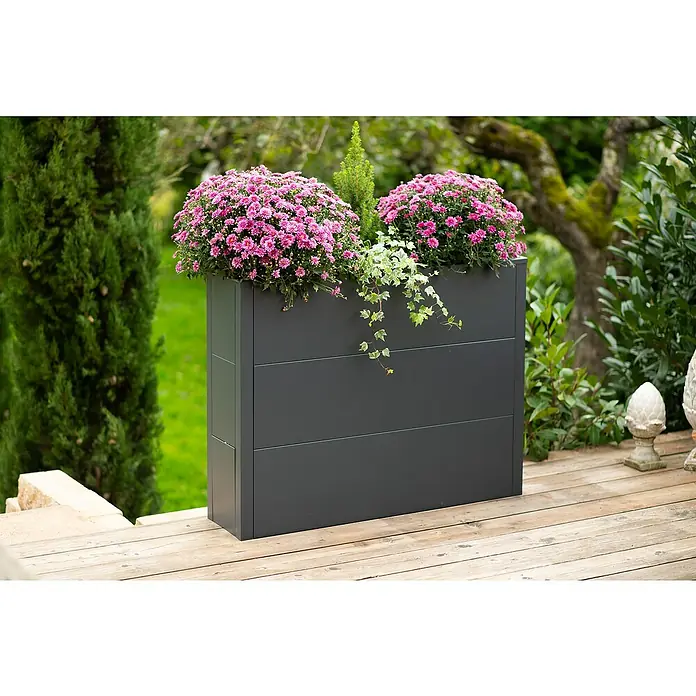 Westmann Pflanzkasten Talus XL - L x B x H: 25 x 100 x 77 cm, Metall, Anthrazit - Grauer, rechteckiger Pflanzkübel aus Metall mit rosa blühenden Chrysanthemen, einer Zypresse und Efeu in einem Garten.