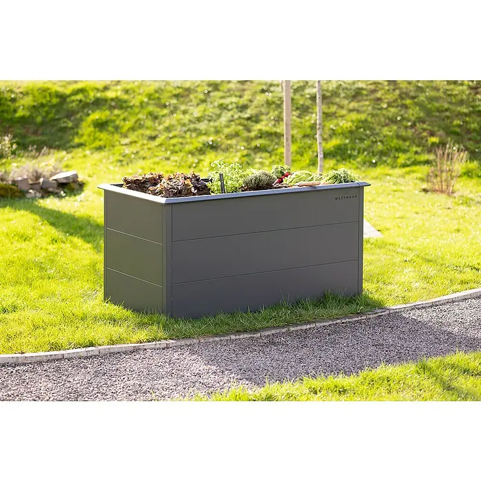 Westmann Hochbeet Primus L - 75 x 150 x 77 cm, Stahl, Anthrazit - Ein erhöhter, grauer Pflanzkasten aus Metall von Westhmann mit verschiedenen Salaten, Kräutern und Gemüsesorten auf einer grünen Rasenfläche.