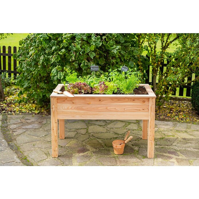 Westmann Hochbeet Emily (65 x 120 x 72 cm, Holz, Natur) | BAUHAUS