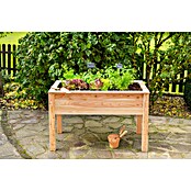 Westmann Hochbeet Emily (65 x 120 x 72 cm, Holz, Natur) | BAUHAUS