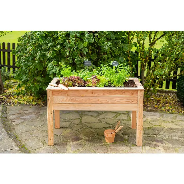 Westmann Hochbeet Emily - 65 x 120 x 72 cm, Holz, Natur - Ein hölzernes Hochbeet mit Salat, Basilikum und Minze im Garten, ideal für den Anbau frischer Kräuter und Gemüse auf der Terrasse.