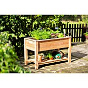 Westmann Hochbeet Emily (65 x 120 x 72 cm, Holz, Natur, Ausstattung Hochbeet: Ablagefläche) | BAUHAUS