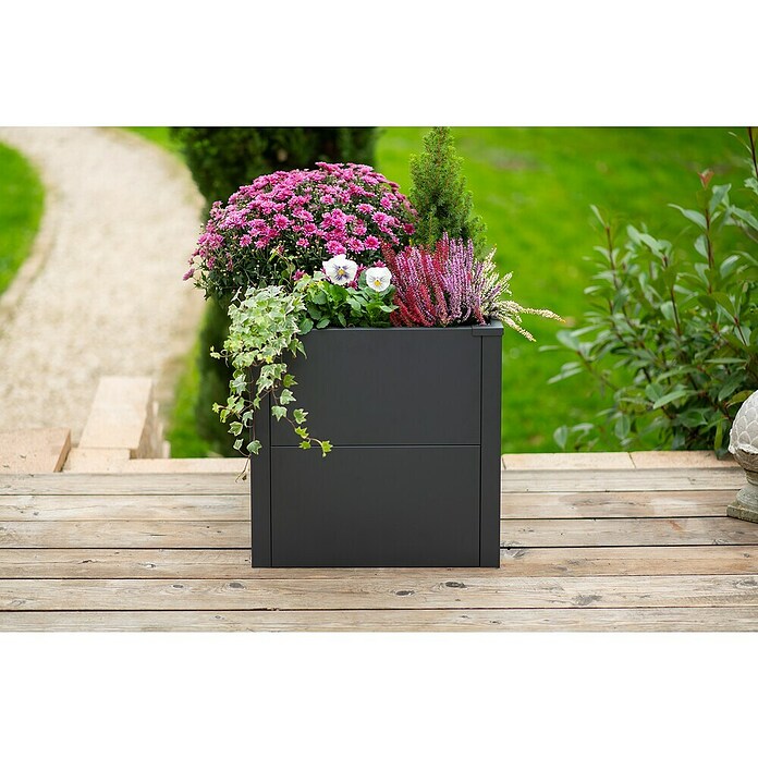 Westmann Pflanzkasten Tallus S (Metall, Anthrazit, L x B x H: 50 x 50 x 50 cm) | BAUHAUS