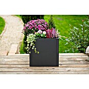 Westmann Pflanzkasten Tallus S (Metall, Anthrazit, L x B x H: 50 x 50 x 50 cm) | BAUHAUS