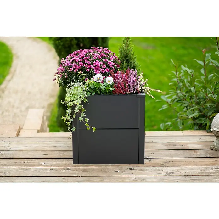 Westmann Pflanzkasten Talus S - Metall, Anthrazit, L x B x H: 50 x 50 x 50 cm - Ein stilvoller, dunkler Pflanzkübel mit üppigen Pflanzen in einem gepflegten Garten. Der Blumenkübel ist ein echter Blickfang.