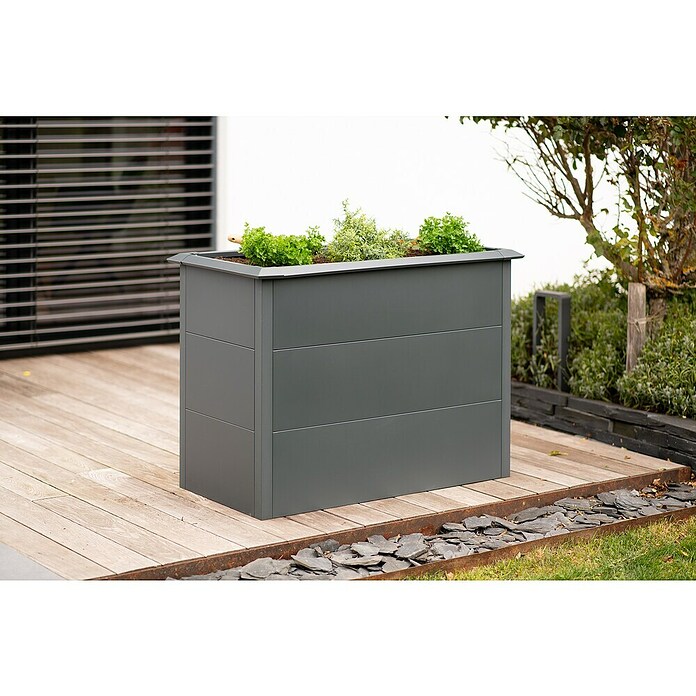 Westmann Hochbeet Primus M (50 x 100 x 77 cm, Metall, Anthrazit) | BAUHAUS