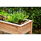 Westmann Hochbeet Emily (65 x 120 x 72 cm, Holz, Natur) | BAUHAUS