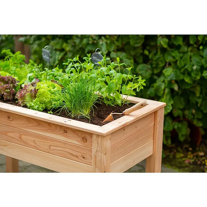 Westmann Hochbeet Emily - 65 x 120 x 72 cm, Holz, Natur - Hochbeet aus Holz mit Salat, Schnittlauch, Minze und einer kleinen Schaufel. Das Beet steht im Garten vor grünen Büschen.