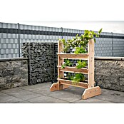 Westmann Kräuterhochbeet Viktoria L mit Rankgitter (L x B x H: 50 x 80 x 95 cm) | BAUHAUS