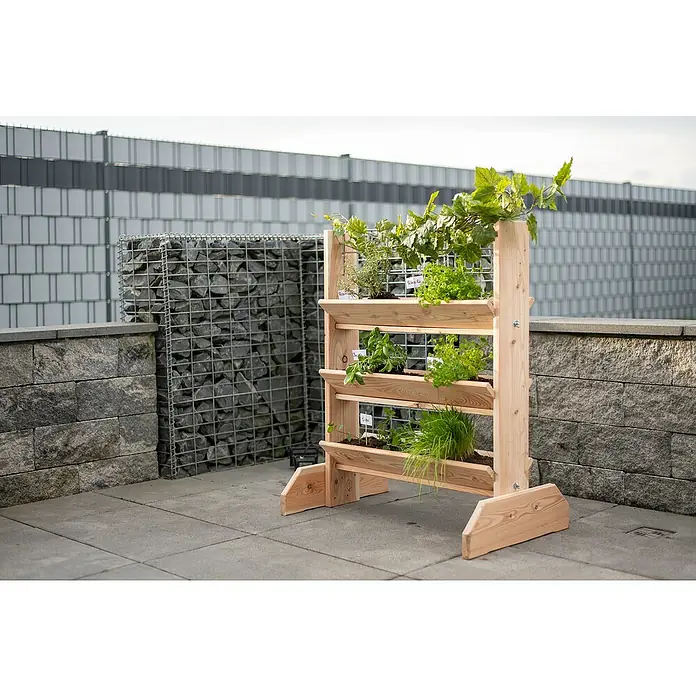 Westmann Kräuterhochbeet Viktoria L mit Rankgitter - L x B x H: 50 x 80 x 95 cm - Das vertikale Kräuterbeet aus Holz mit drei Ebenen ist eine stilvolle und funktionale Ergänzung für jeden Garten oder Balkon.