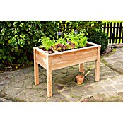 Westmann Hochbeet Emily (65 x 120 x 72 cm, Holz, Natur) | BAUHAUS