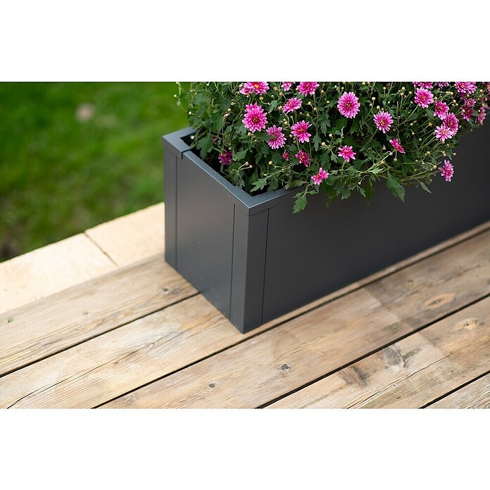 Westmann Pflanzkasten Tallus M (Metall, Anthrazit, L x B x H: 25 x 100 x 27 cm) | BAUHAUS
