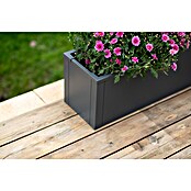 Westmann Pflanzkasten Tallus M (Metall, Anthrazit, L x B x H: 25 x 100 x 27 cm) | BAUHAUS